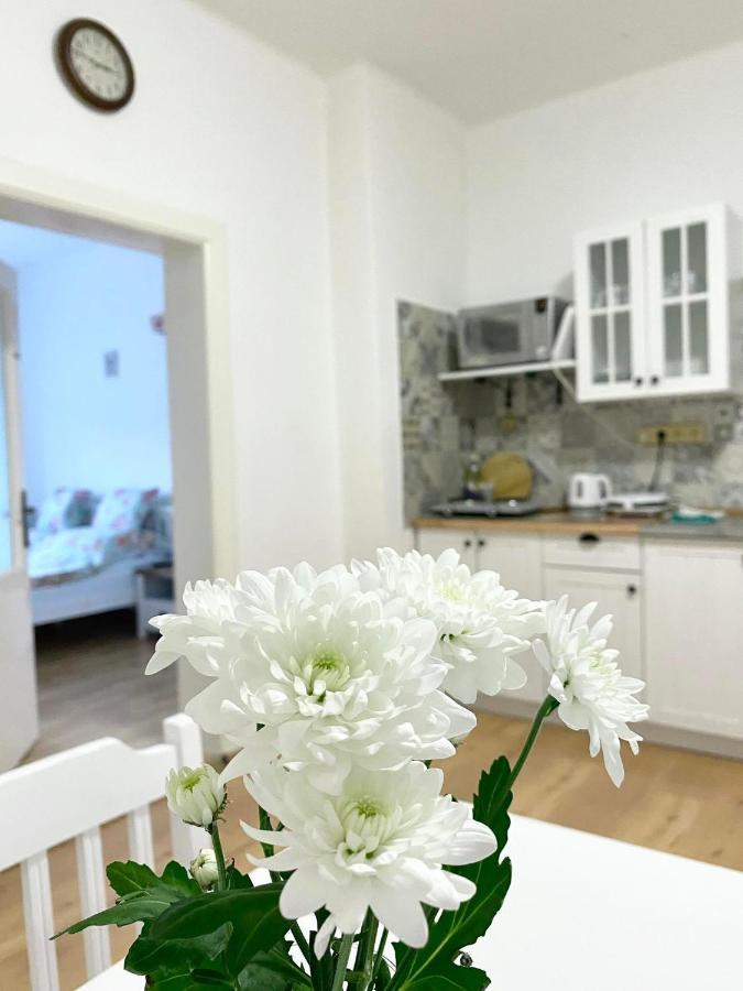 Bystrice Apartman Marketaアパートメント エクステリア 写真